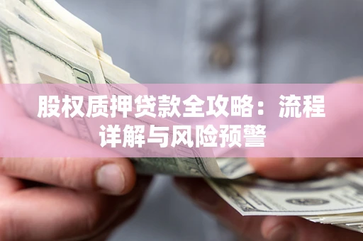 武汉股权质押贷款全攻略：流程详解与风险预警
