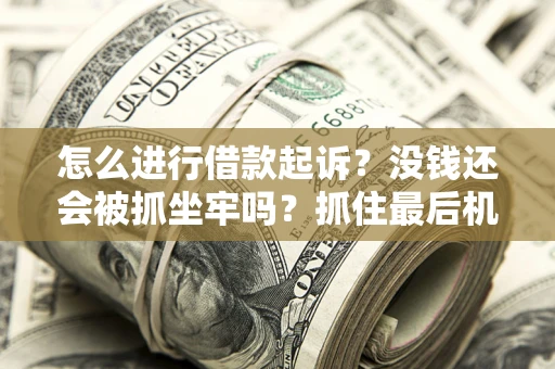 武汉怎么进行借款起诉？没钱还会被抓坐牢吗？抓住最后机会！