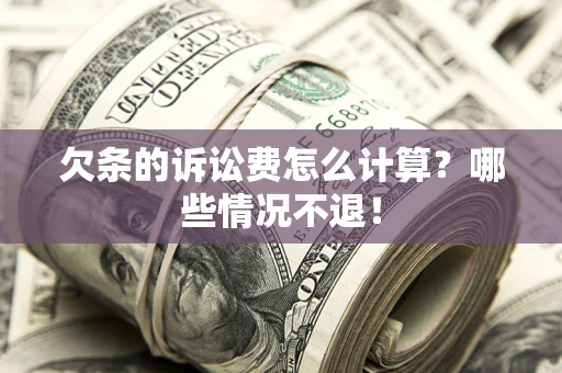 武汉欠条的诉讼费怎么计算？哪些情况不退！