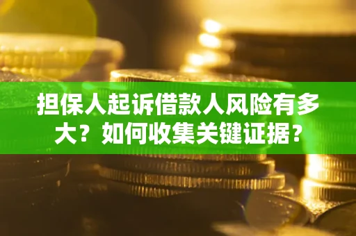 武汉担保人起诉借款人风险有多大？如何收集关键证据？