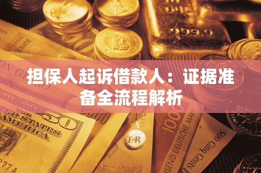 武汉担保人起诉借款人：证据准备全流程解析